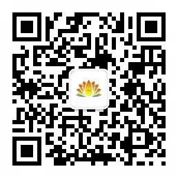 龙8头号玩家