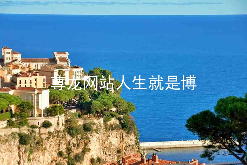 尊龙网站人生就是博