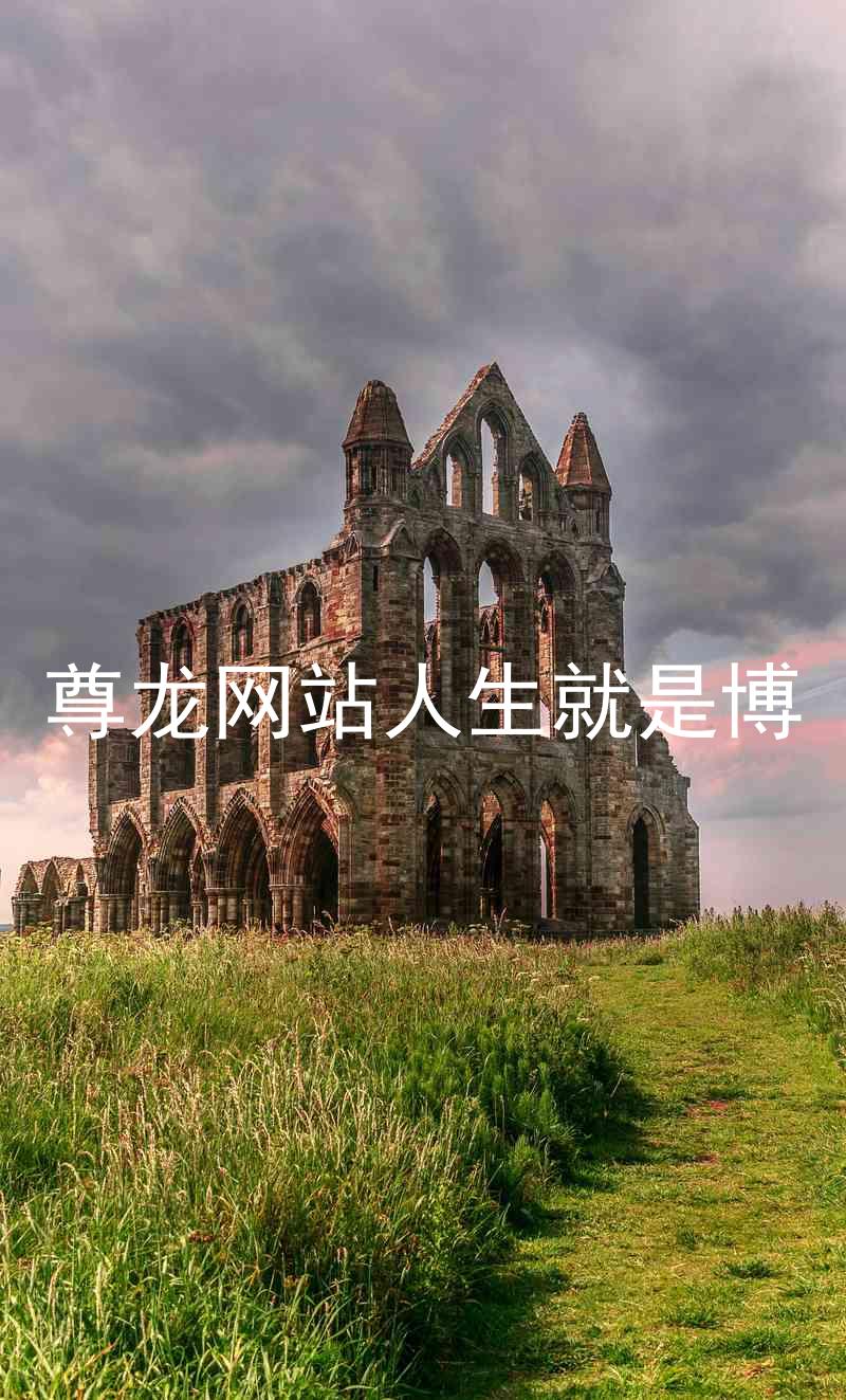 尊龙网站人生就是博