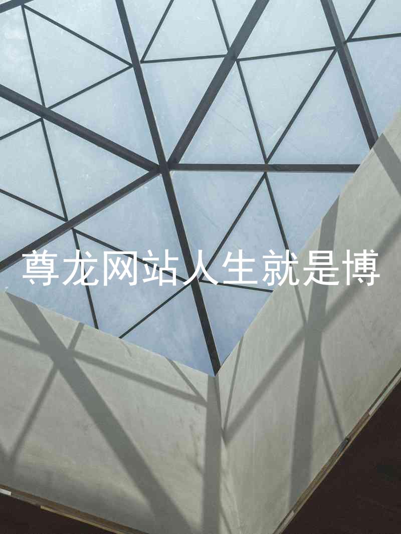 尊龙网站人生就是博