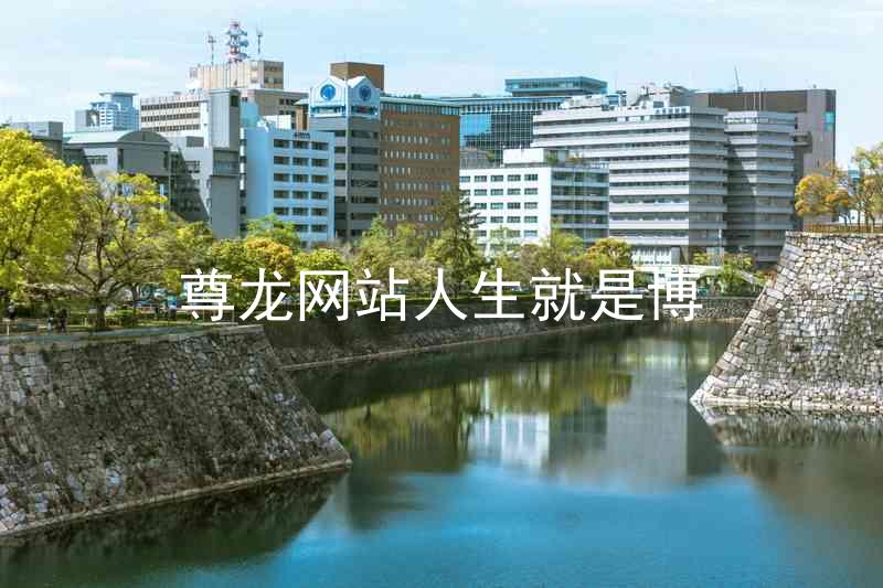 尊龙网站人生就是博